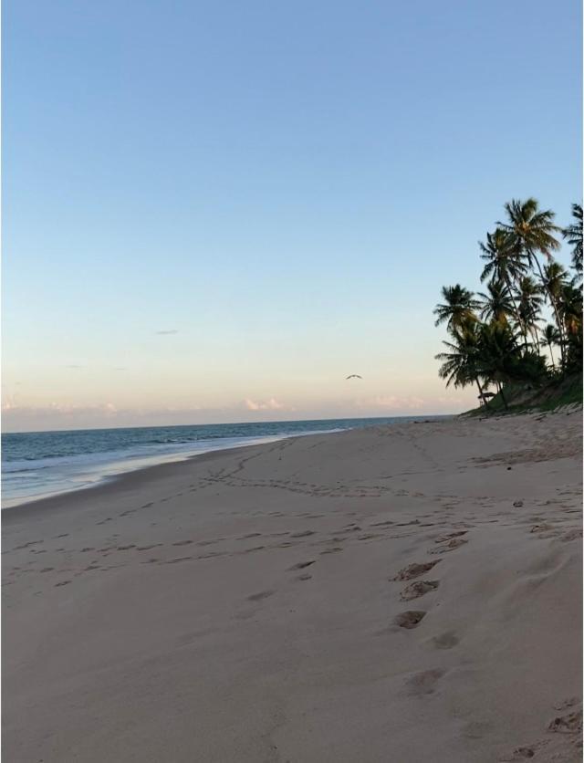 Praia Do Forte- Iberostar- Ap Luxuoso 3 Qts Matta de São João Exterior foto